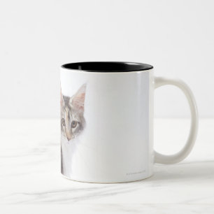 Tasse 2 Couleurs Chat de ragondin du Maine