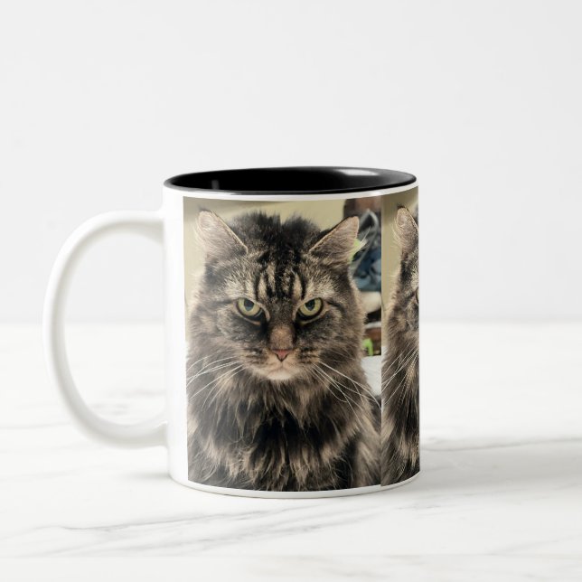 Tasse 2 Couleurs Chat déçu (Gauche)