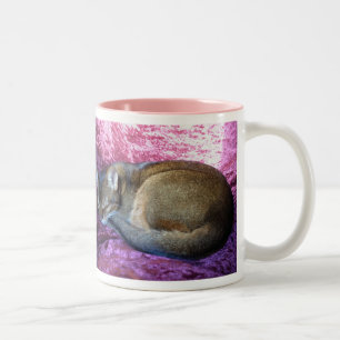 Tasse 2 Couleurs Chat femelle vermeil abyssinien le prenant facile