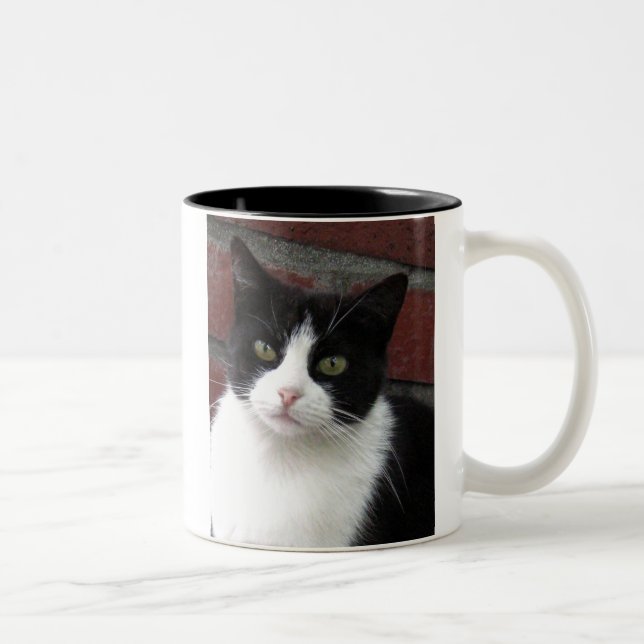 Tasse 2 Couleurs chat noir et blanc (Droit)