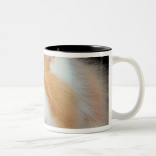 Tasse 2 Couleurs Chat observé et mignon d'orange