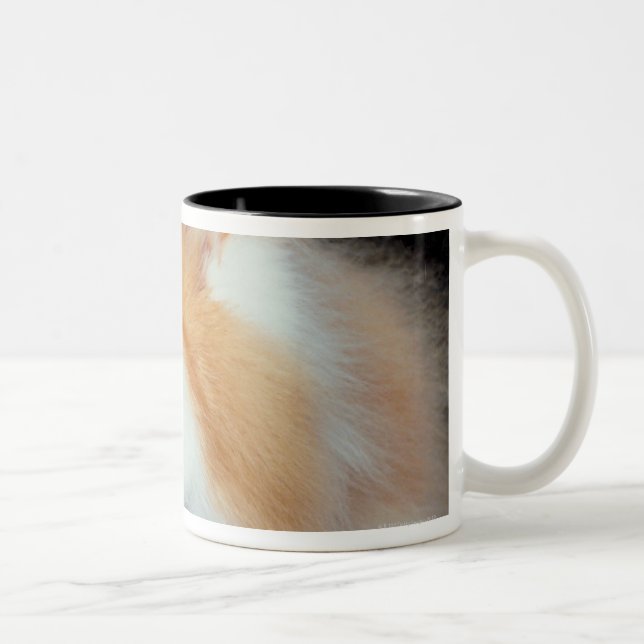Tasse 2 Couleurs Chat observé et mignon d'orange (Droit)