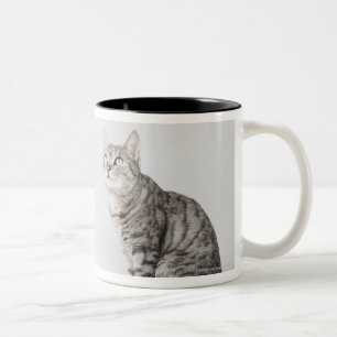 Tasse 2 Couleurs Chat recherchant