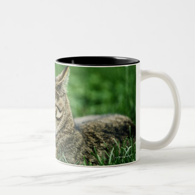 Tasse 2 Couleurs Chat se situant dans l'herbe (Droit)