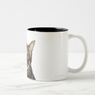 Tasse 2 Couleurs Chat sur l'arrière - plan blanc 2