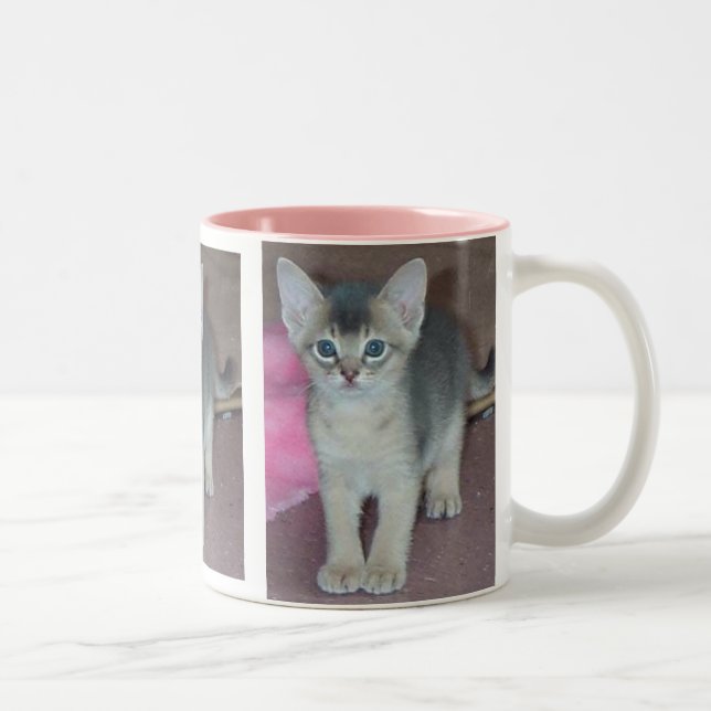 Tasse 2 Couleurs Chaton abyssinien six semaines de (Droit)