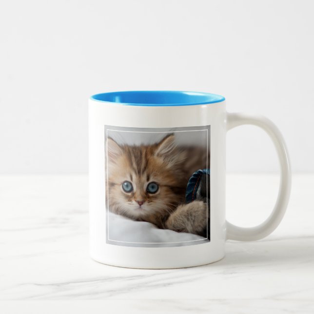 Tasse 2 Couleurs Chaton avec des yeux bleus (Droit)