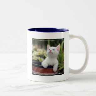 Tasse 2 Couleurs Chaton blanc turc