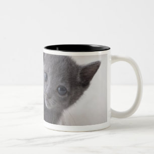 Tasse 2 Couleurs Chaton bleu russe