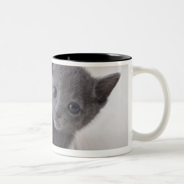 Tasse 2 Couleurs Chaton bleu russe (Droit)