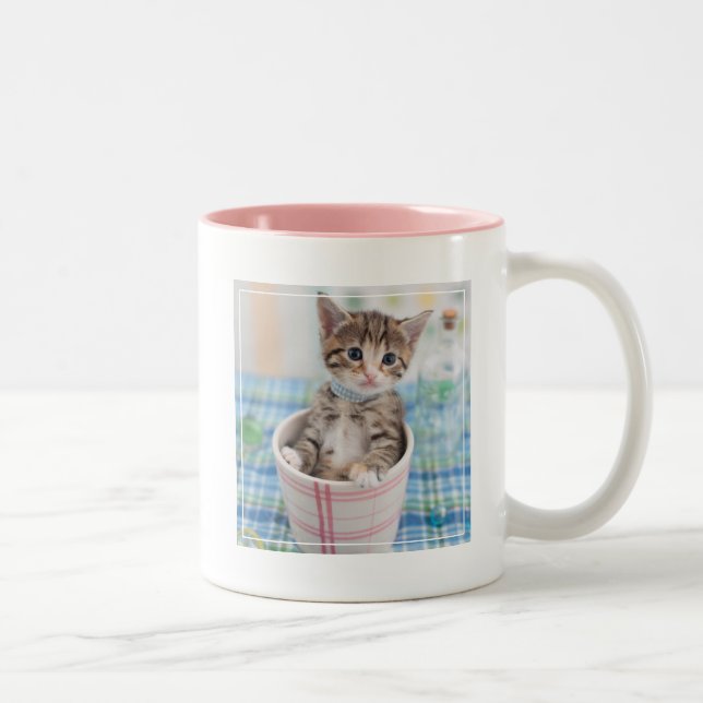 Tasse 2 Couleurs Chaton de Munchkin avec le joli ruban (Droit)