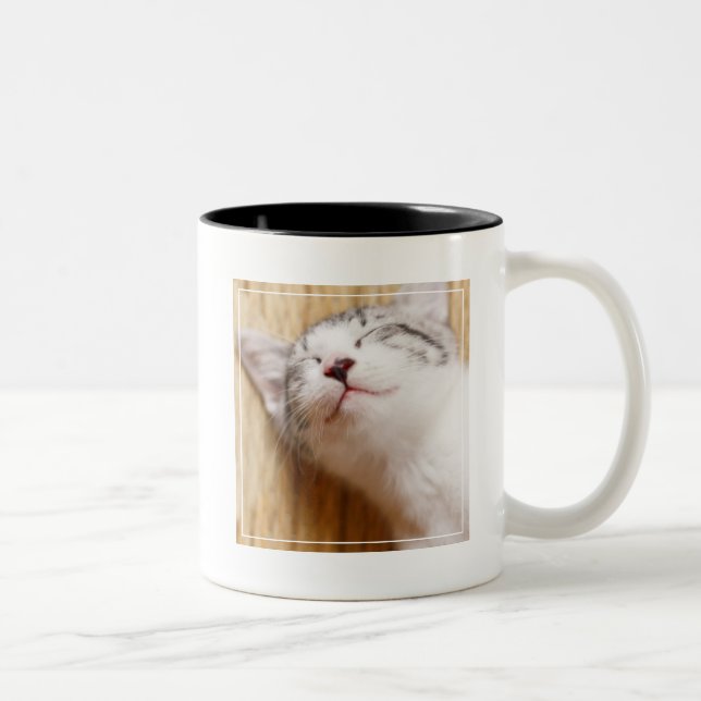 Tasse 2 Couleurs Chaton de sommeil (Droit)
