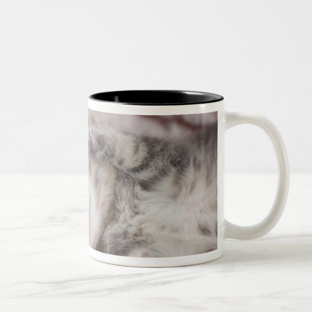 Tasse 2 Couleurs Chaton dormant sur la serviette (Droit)