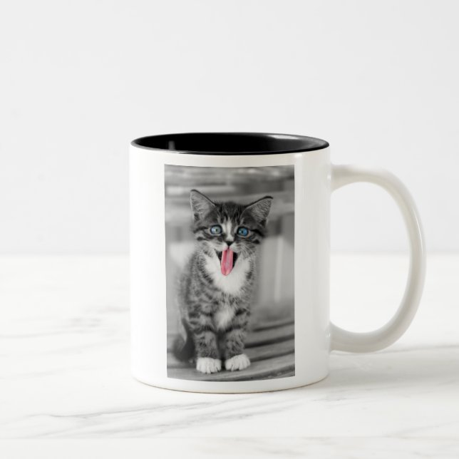 Tasse 2 Couleurs Chaton drôle (Droit)