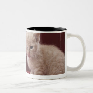 Tasse 2 Couleurs Chaton léchant le lait renversé de la bouteille
