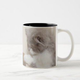 Tasse 2 Couleurs Chaton persan regardant la poubelle
