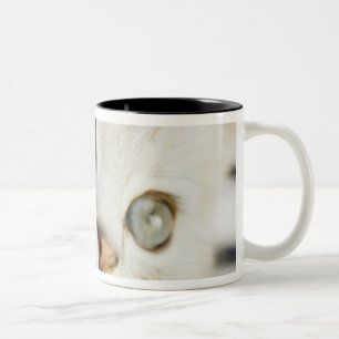 Tasse 2 Couleurs Chaton, plan rapproché 2