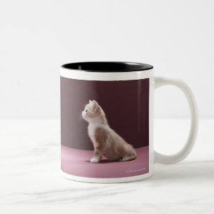 Tasse 2 Couleurs Chaton regardant le vase de roses