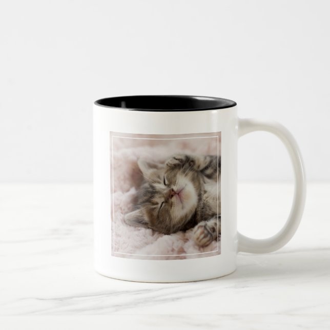 Tasse 2 Couleurs Chaton somnolent (Droit)