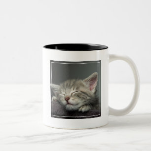 Tasse 2 Couleurs Chaton somnolent