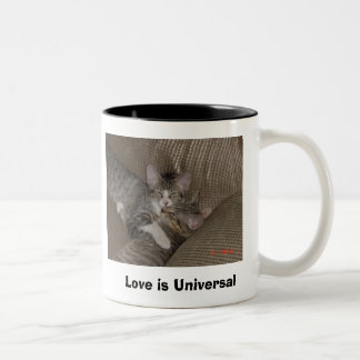 Tasse 2 Couleurs Chatons