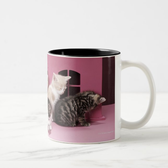 Tasse 2 Couleurs Chatons dans la maison de poupée (Droit)