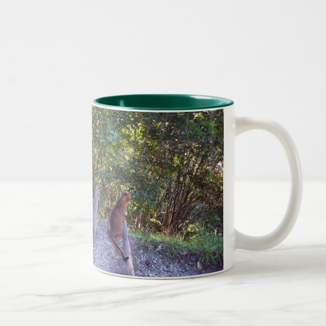 Tasse 2 Couleurs Chats abyssiniques (Droit)