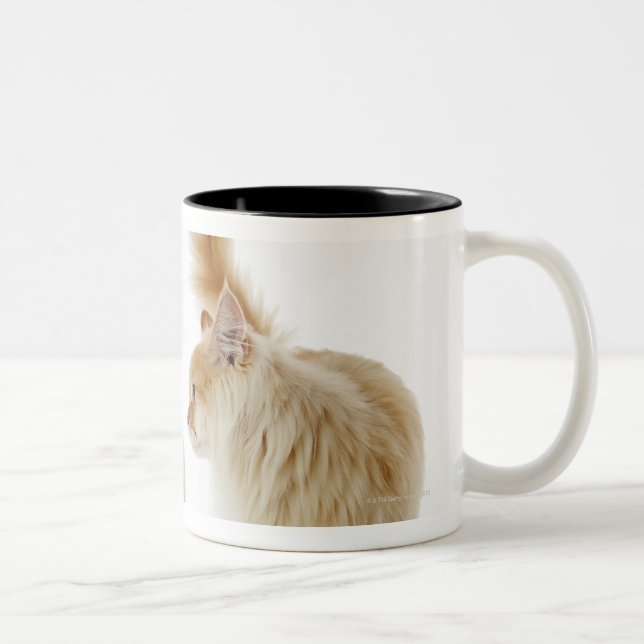 Tasse 2 Couleurs Chats de Munchkin (Droit)