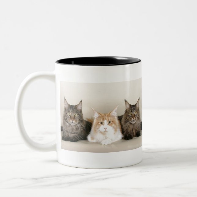 Tasse 2 Couleurs Chats du Maine (Gauche)