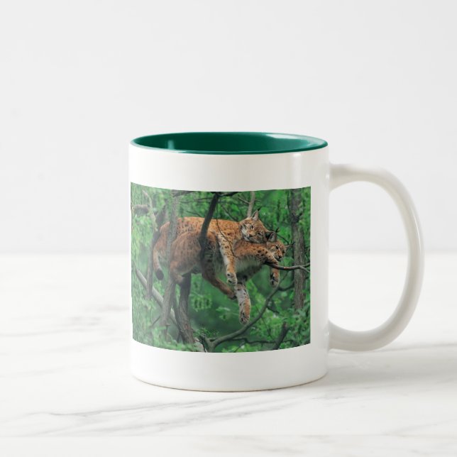 Tasse 2 Couleurs Chats somnolents (Droit)