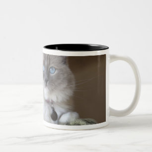 Tasse 2 Couleurs Chatte Ragdoll