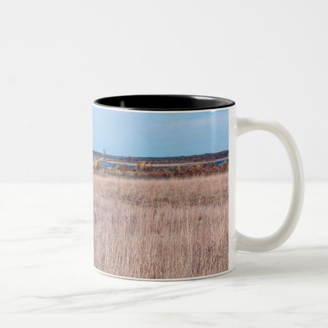 Tasse 2 Couleurs chemin prairie au refuge necedah (Droit)