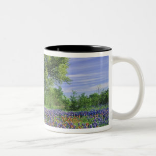 Tasse 2 Couleurs Chêne vivant et pinceau de Texas, et Texas
