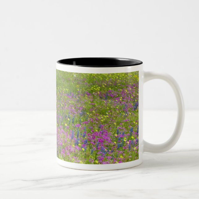 Tasse 2 Couleurs Chênes avec champ de Phlox, Blue Bonnets (Droit)