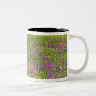 Tasse 2 Couleurs Chênes avec champ de Phlox, Bonnets Bleus