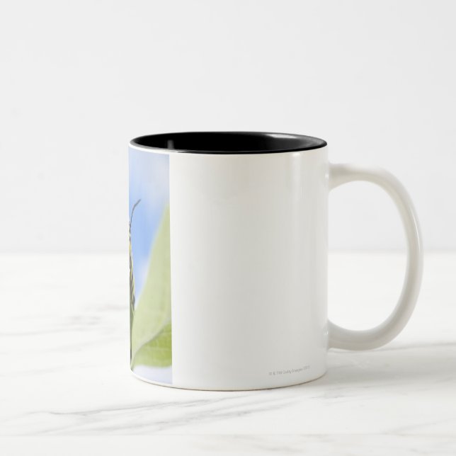 Tasse 2 Couleurs Chenille noire et jaune (Droit)