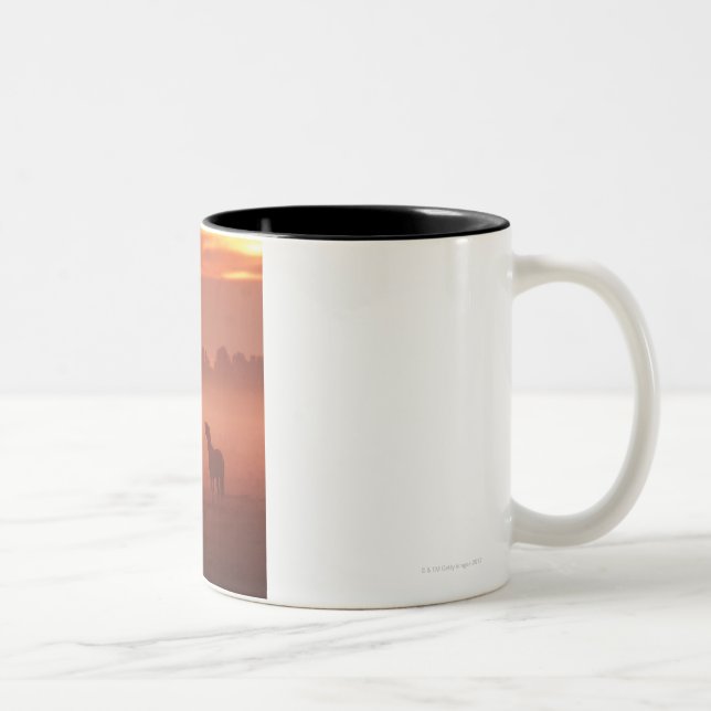 Tasse 2 Couleurs Cheval au lever de soleil (Droit)