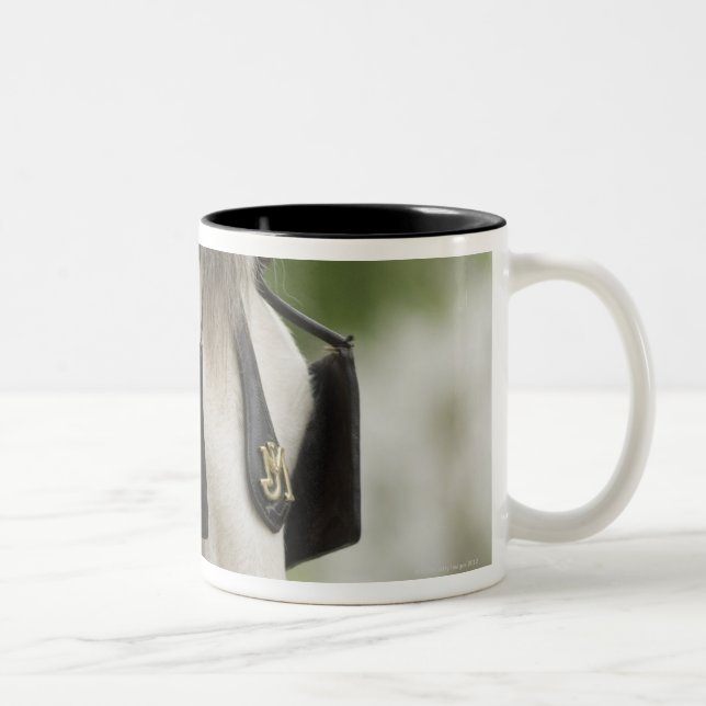Tasse 2 Couleurs Cheval avec des oeillères (Droit)