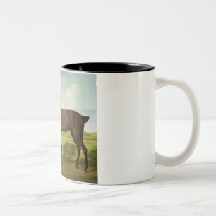 Tasse 2 Couleurs Cheval Brown dans un paysage accidenté,