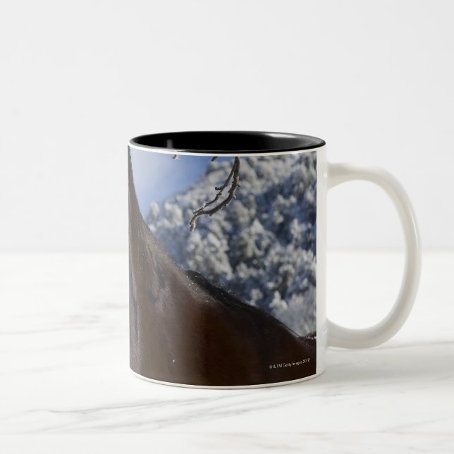 Tasse 2 Couleurs Cheval Brown en hiver (Droit)