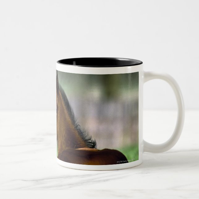 Tasse 2 Couleurs Cheval de pur sang, Irlande (Droit)
