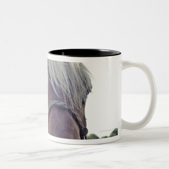 TASSE 2 COULEURS CHEVAL DE SHIRE AU SOLEIL AVEC LE NEZ JUSQU'À (Droit)