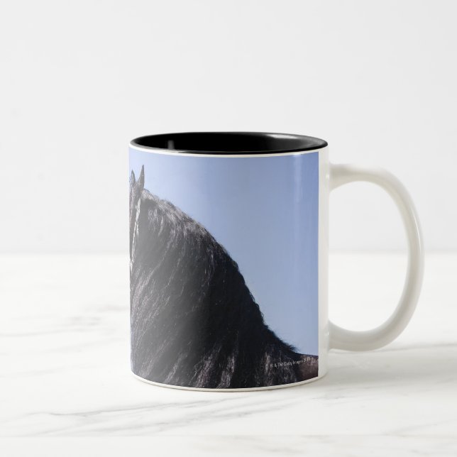 Tasse 2 Couleurs cheval noir avec la longue crinière (Droit)