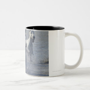 Tasse 2 Couleurs Chevaux de Camargue fonctionnant sur le marécage