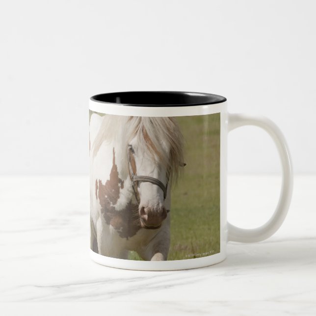 Tasse 2 Couleurs Chevaux de Clydesdale dans un domaine, le (Droit)