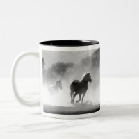 Chevaux de course noir et blanc Photo Artwork
