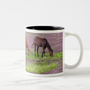 Tasse 2 Couleurs Chevaux de pur sang dans le domaine des fleurs de