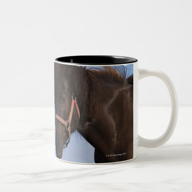 Tasse 2 Couleurs Chevaux islandais se faisant face (Droit)