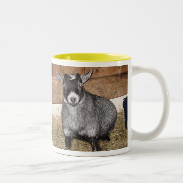 Tasse 2 Couleurs Chèvre pygméenne, pas une personne de matin (Droit)