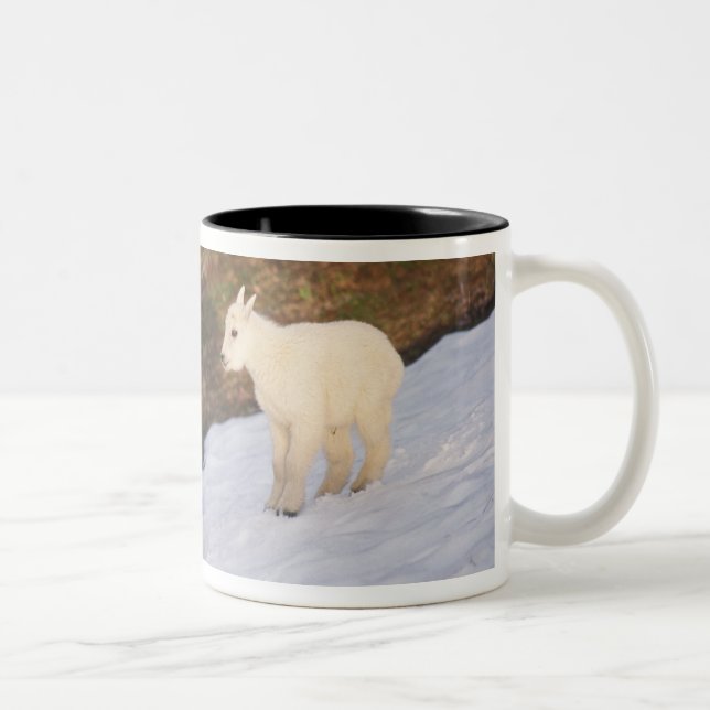 Tasse 2 Couleurs chèvres de montagne (Droit)